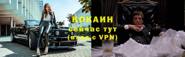 стафф Алексин