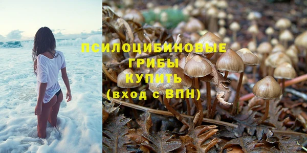 каннабис Алзамай