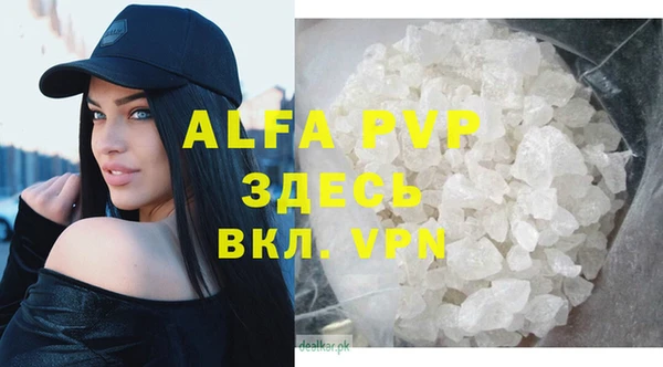 стафф Алексин