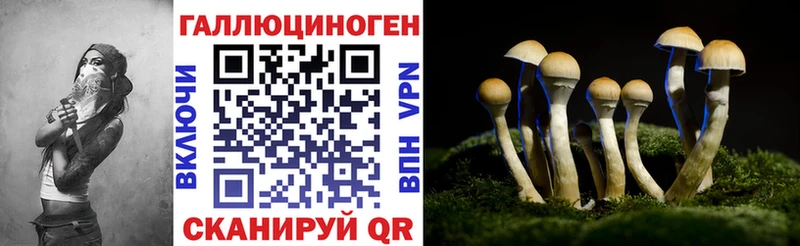 где купить   Туймазы  Галлюциногенные грибы Cubensis 
